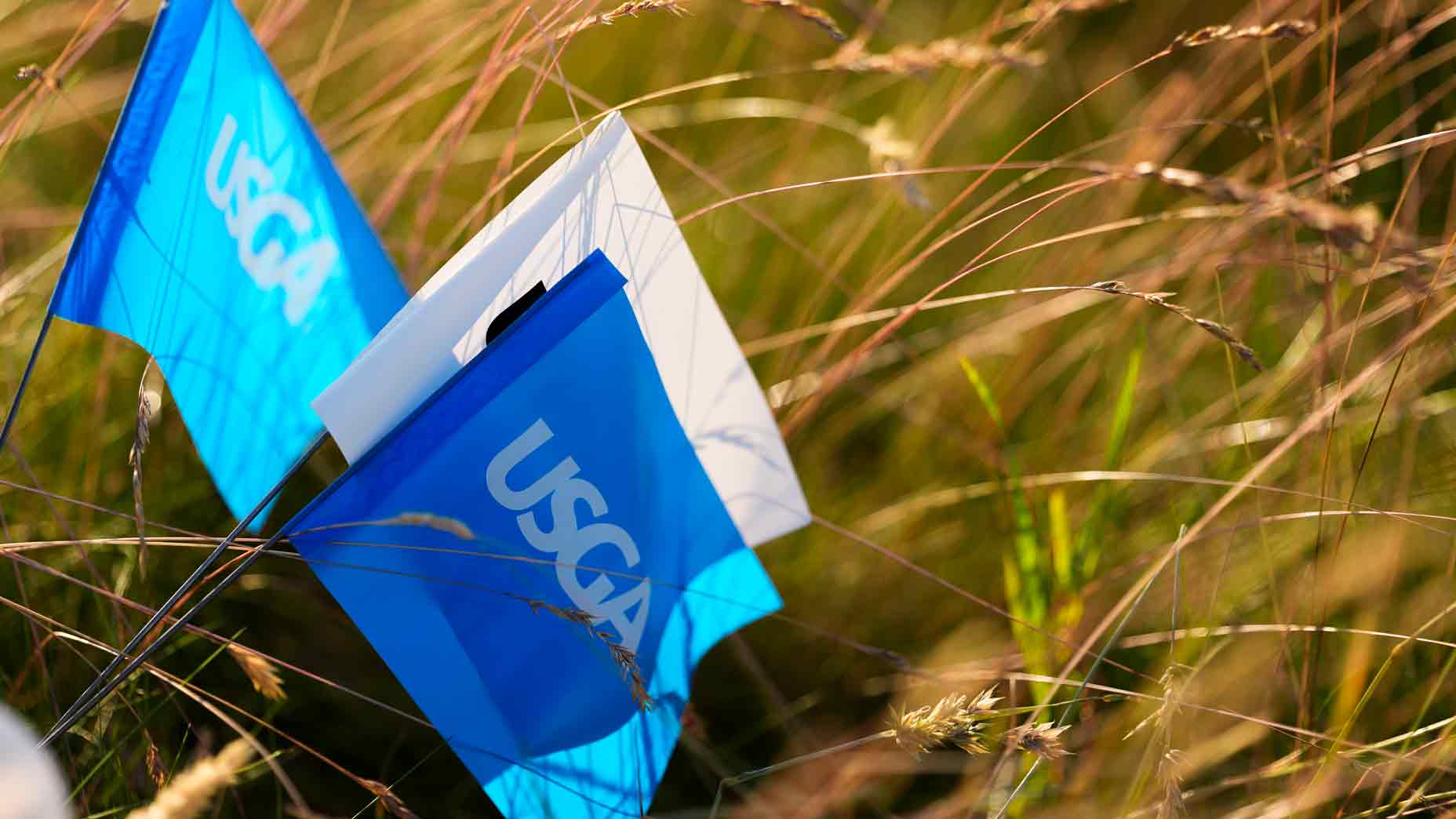 2026 U.S. Open Sunday Channel: USGA flags at Shinnecock Hills.
