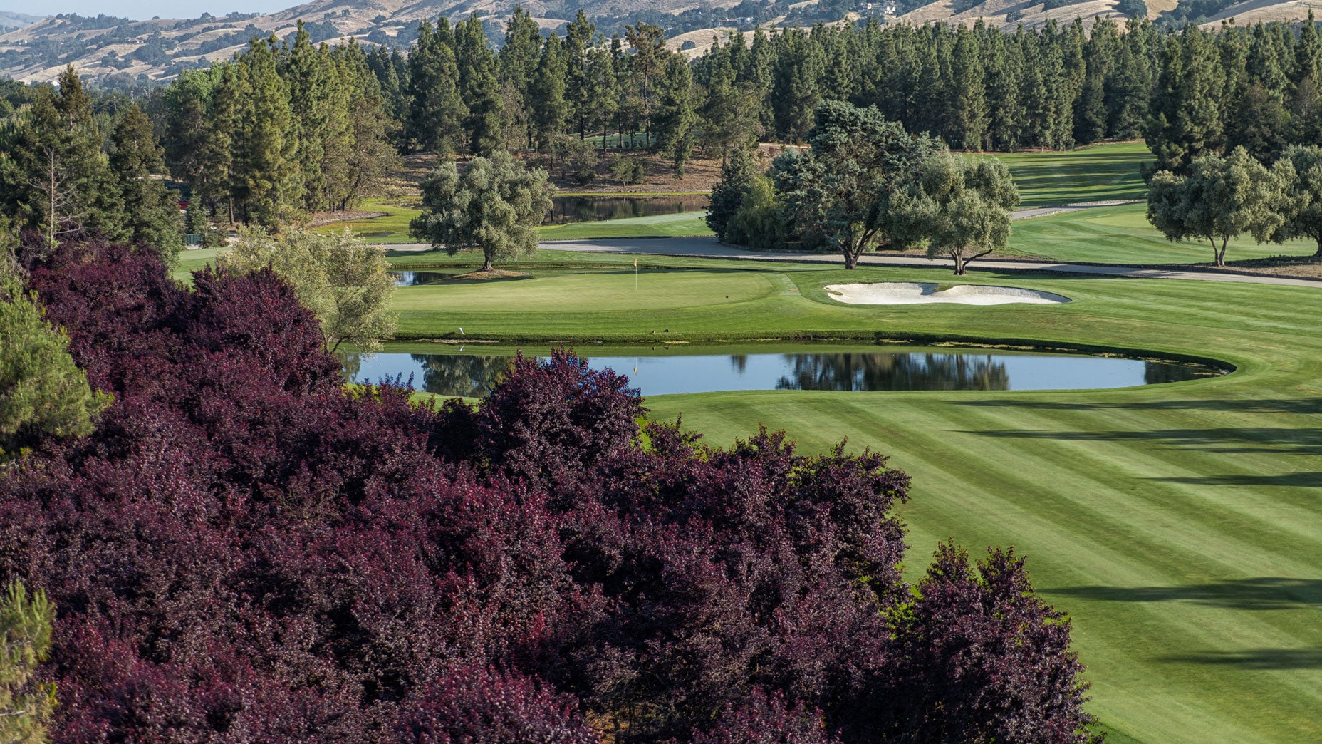 The 11th hole at The Institute in Morgan Hill, Calif.