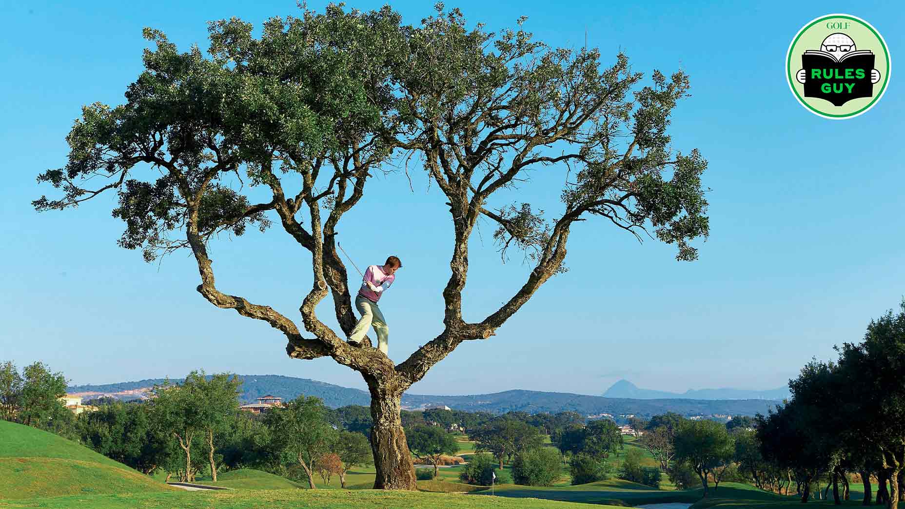 A golfer stands on a branch high up in a tree, preparing to hit a golf ball—demonstrating unique hitting techniques—while the green golf course and distant mountains provide a scenic backdrop. A circular Rules Guy logo appears in the upper right corner.