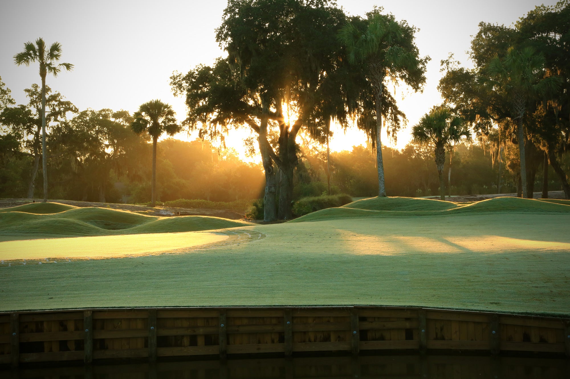 TPC Sawgrass (Players Stadium), $495: Ben Crenshaw once dismissed it as